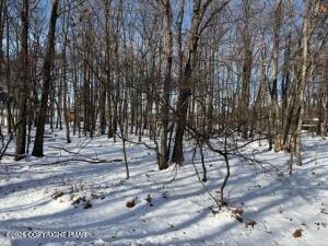 KIV1014 Basswood Court Albrightsville