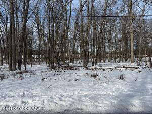 Lot 139LAN Willow Drive Jim Thorpe