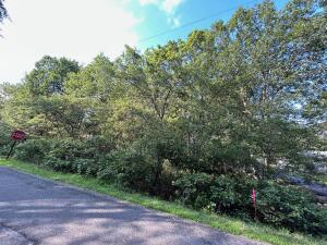 Lot F534 Pinoak Drive Jim Thorpe