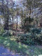 Lot I731 Yellow Run Road Jim Thorpe