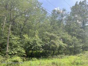 224 & 225 Bluejay Drive Jim Thorpe