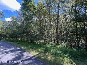 Lot 20ALAS Piney Woods Drive Jim Thorpe