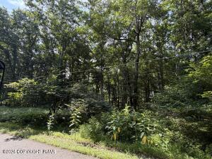 Lot 139LAN Willow Drive Jim Thorpe